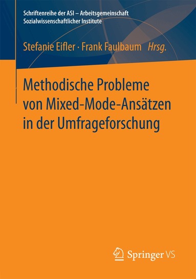 Stefanie Eifler, Frank Faulbaum - Methodische Probleme von Mixed-Mode-Ansätzen in der Umfrageforschung, Häftad
