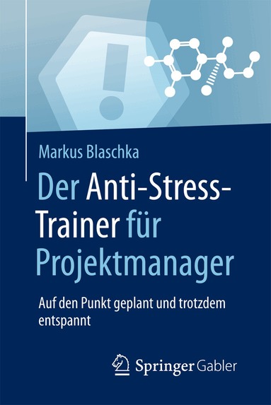 Markus Blaschka - Der Anti-Stress-Trainer für Projektmanager, Häftad