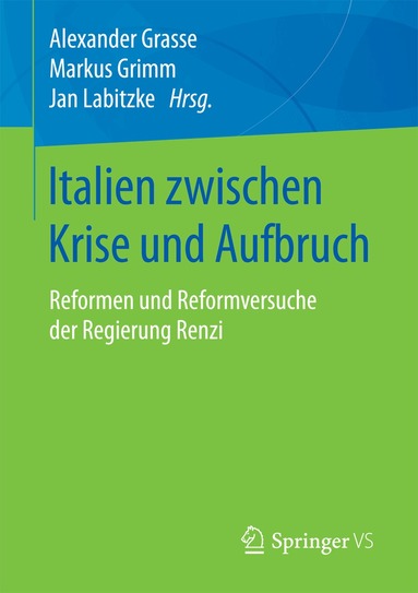 Alexander Grasse, Markus Grimm, Jan Labitzke - Italien zwischen Krise und Aufbruch, Häftad