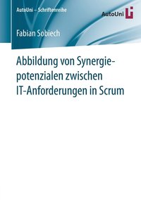 bokomslag Abbildung von Synergiepotenzialen zwischen IT-Anforderungen in Scrum