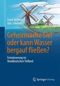 bokomslag Geheimsache Siel oder kann Wasser bergauf fließen?