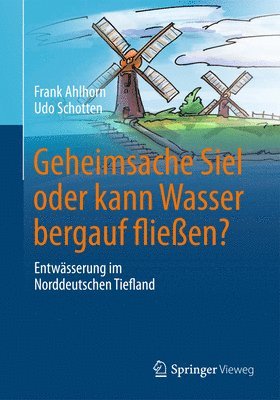 bokomslag Geheimsache Siel oder kann Wasser bergauf fließen?