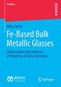 bokomslag Fe-Based Bulk Metallic Glasses