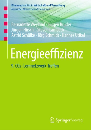 Bernadette Weyland, Jürgen Bruder, Jürgen Hirsch, Steven Lambeck, Astrid Schülke, Jörg Schmidt, Hannes Utikal - Energieeffizienz, Häftad