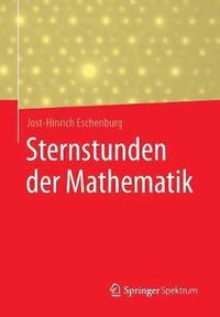 bokomslag Sternstunden der Mathematik