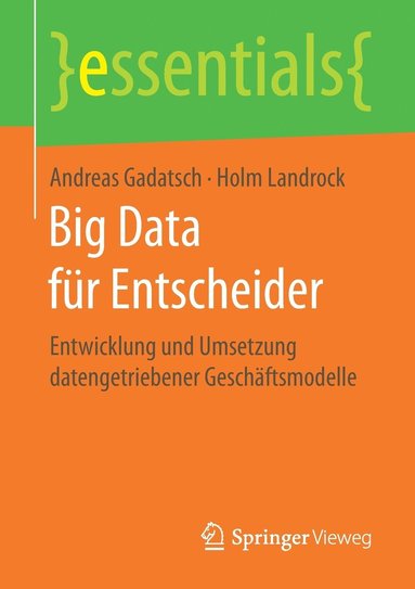 bokomslag Big Data fr Entscheider