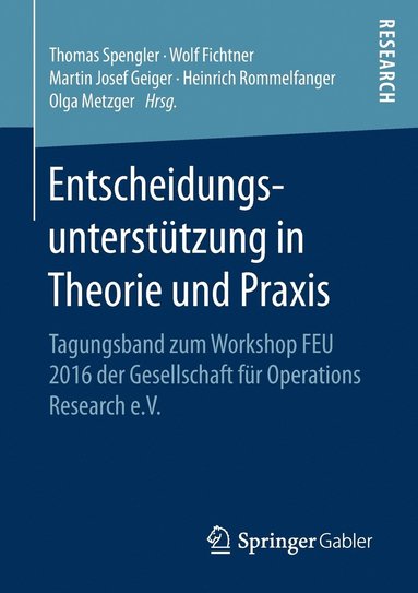 bokomslag Entscheidungsunterstu?tzung in Theorie und Praxis