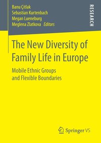 bokomslag The New Diversity of Family Life in Europe