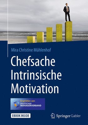 bokomslag Chefsache Intrinsische Motivation