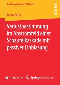 bokomslag Verlustbestimmung im Abstrmfeld einer Schaufelkaskade mit passiver Einblasung