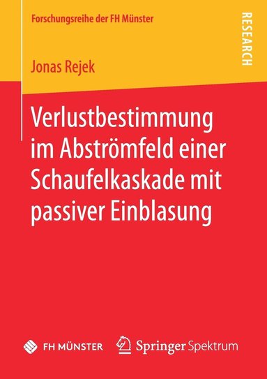 bokomslag Verlustbestimmung im Abstrmfeld einer Schaufelkaskade mit passiver Einblasung