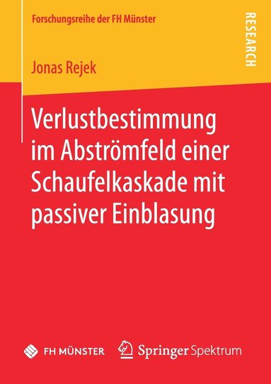 bokomslag Verlustbestimmung im Abströmfeld einer Schaufelkaskade mit passiver Einblasung