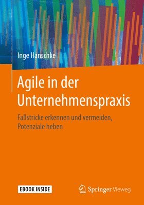 bokomslag Agile in der Unternehmenspraxis