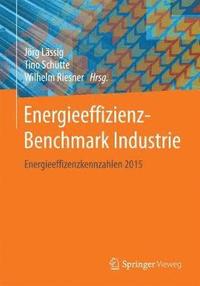 bokomslag Energieeffizienz-Benchmark Industrie