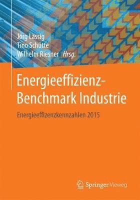 Energieeffizienz-Benchmark Industrie 1