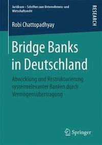 bokomslag Bridge Banks in Deutschland