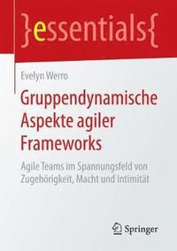 bokomslag Gruppendynamische Aspekte agiler Frameworks