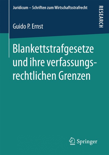 bokomslag Blankettstrafgesetze und ihre verfassungsrechtlichen Grenzen