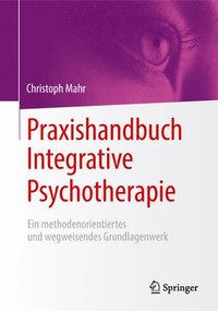 bokomslag Praxishandbuch Integrative Psychotherapie