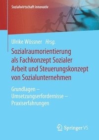 bokomslag Sozialraumorientierung als Fachkonzept Sozialer Arbeit und Steuerungskonzept von Sozialunternehmen