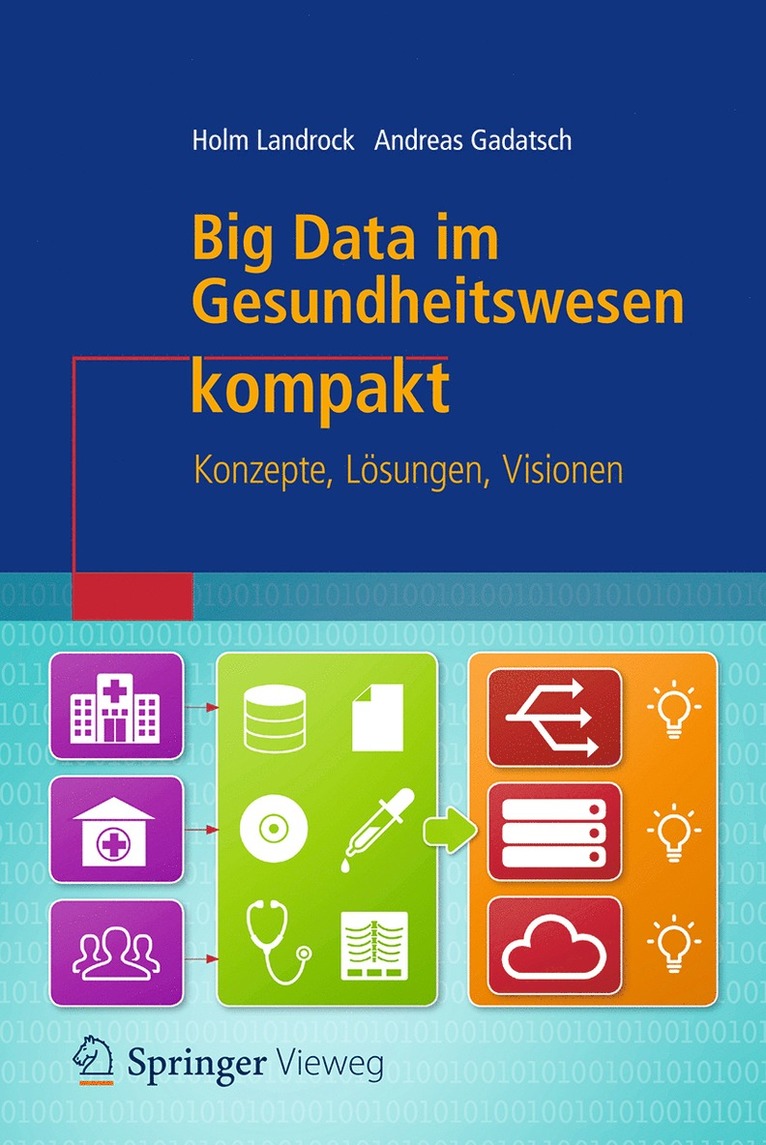 Holm Landrock, Andreas Gadatsch - Big Data im Gesundheitswesen kompakt, Häftad
