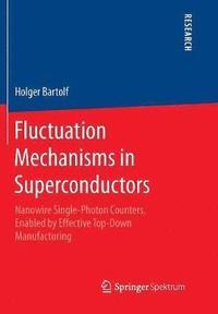 bokomslag Fluctuation Mechanisms in Superconductors