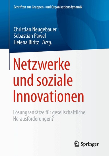 Christian Neugebauer, Sebastian Pawel, Helena Biritz - Netzwerke und soziale Innovationen, Häftad