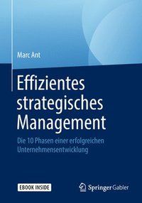 bokomslag Effizientes strategisches Management