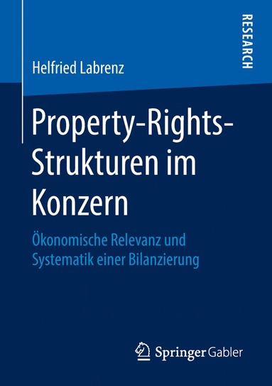 bokomslag Property-Rights-Strukturen im Konzern