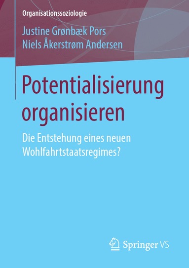 bokomslag Potentialisierung organisieren