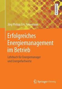 bokomslag Erfolgreiches Energiemanagement im Betrieb