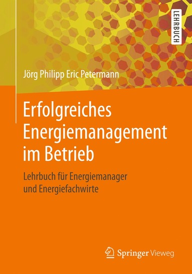 bokomslag Erfolgreiches Energiemanagement im Betrieb