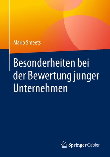 bokomslag Besonderheiten bei der Bewertung junger Unternehmen