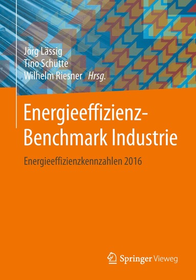 Jörg Lässig, Tino Schütte, Wilhelm Riesner - Energieeffizienz-Benchmark Industrie, Häftad