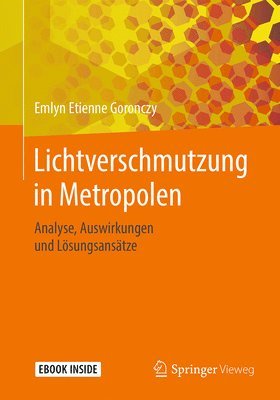 bokomslag Lichtverschmutzung in Metropolen