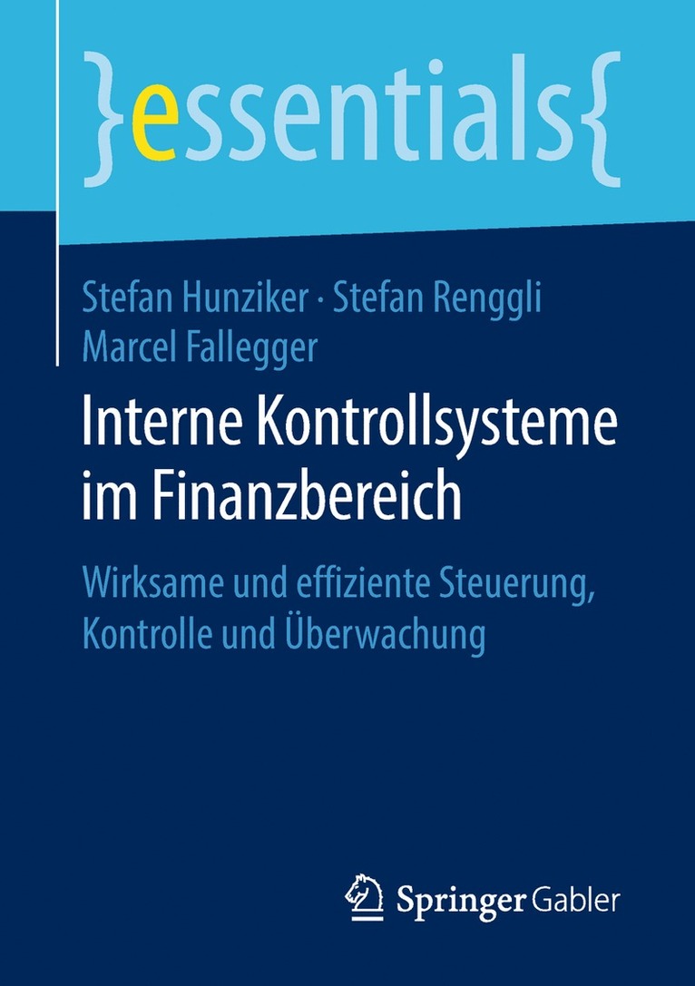 Stefan Hunziker, Stefan Renggli, Marcel Fallegger - Interne Kontrollsysteme im Finanzbereich, Häftad