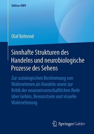 bokomslag Sinnhafte Strukturen des Handelns und neurobiologische Prozesse des Sehens