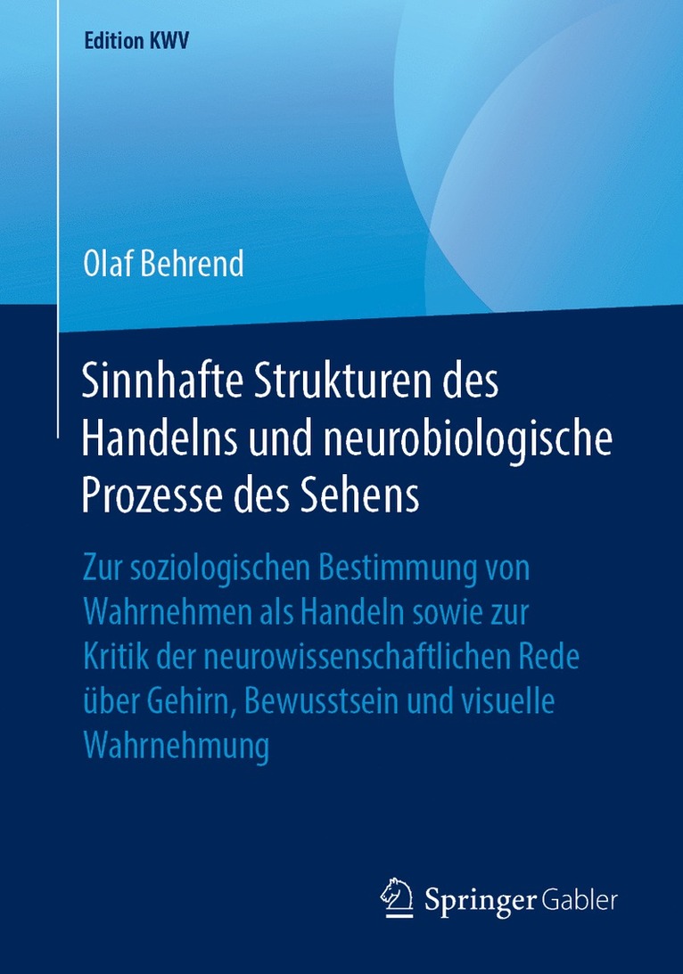 Olaf Behrend - Sinnhafte Strukturen des Handelns und neurobiologische Prozesse des Sehens, Häftad