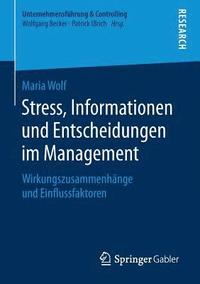bokomslag Stress, Informationen und Entscheidungen im Management