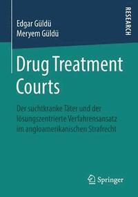 bokomslag Drug Treatment Courts