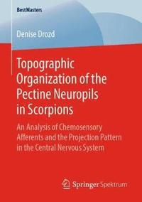 bokomslag Topographic Organization of the Pectine Neuropils in Scorpions
