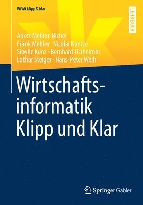 bokomslag Wirtschaftsinformatik Klipp und Klar