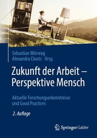 bokomslag Zukunft der Arbeit - Perspektive Mensch