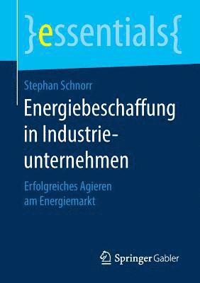 Energiebeschaffung in Industrieunternehmen 1