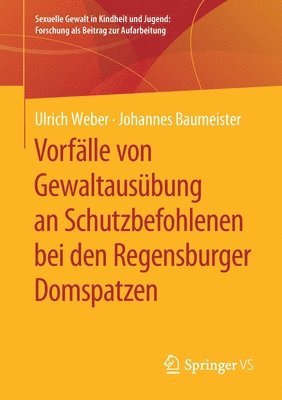 Ulrich Weber, Johannes Baumeister - Vorfälle von Gewaltausübung an Schutzbefohlenen bei den Regensburger Domspatzen, Häftad