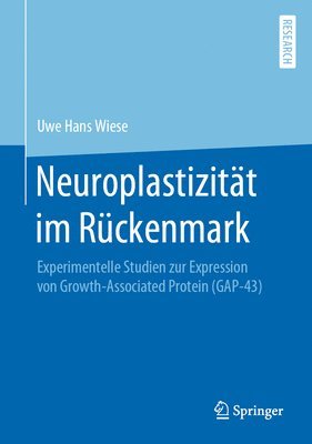 bokomslag Neuroplastizitt im Rckenmark