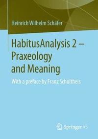 bokomslag HabitusAnalysis 2  Praxeology and Meaning
