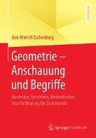 bokomslag Geometrie  Anschauung und Begriffe