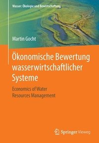 bokomslag konomische Bewertung wasserwirtschaftlicher Systeme