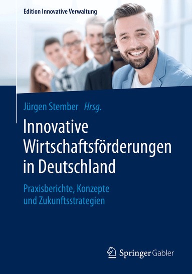 Jürgen Stember - Innovative Wirtschaftsförderungen in Deutschland, Häftad